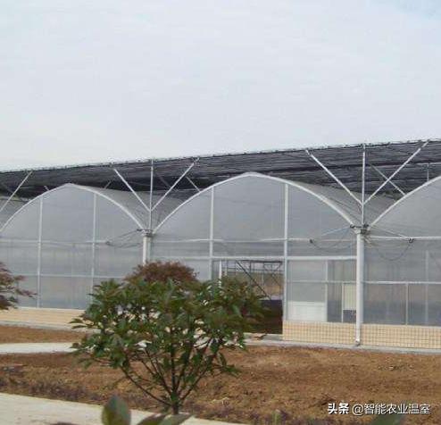 毕节蔬菜薄膜连栋温室大棚,陕西连栋薄膜温室大棚销售