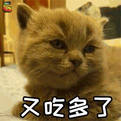 减肥吃火锅后补救方法,减肥吃了油炸食品怎么补救