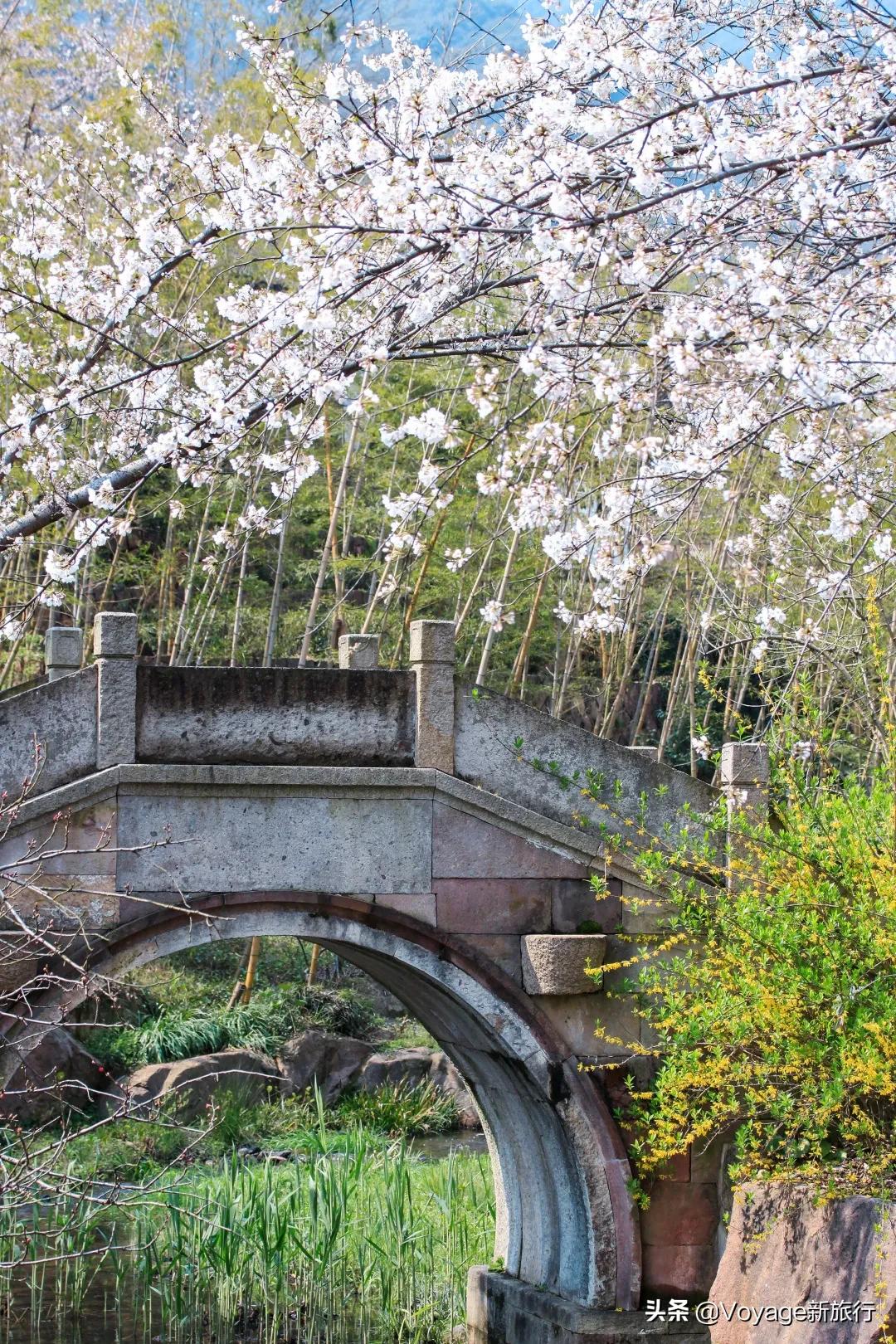 五家顶级野奢度假酒店,中国风海滨度假酒店