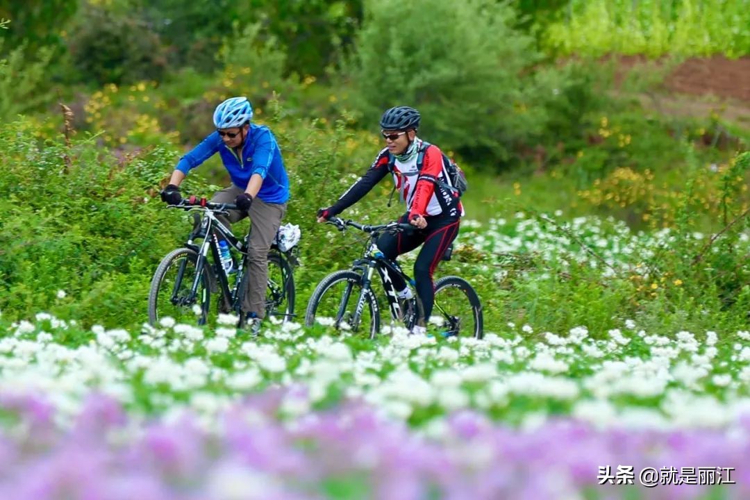 丽江是个怎样的地方,丽江是一个浪漫的城市