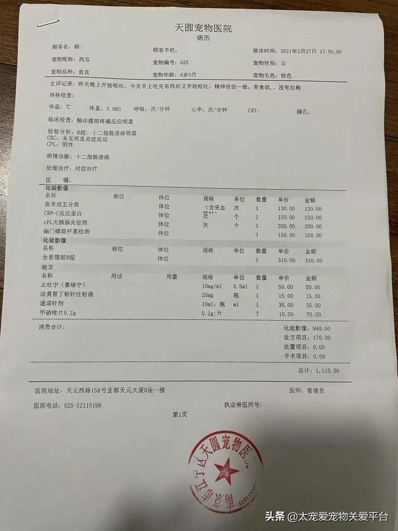 十二指肠溃疡丨太宠爱理赔案例南京天圆宠物医院