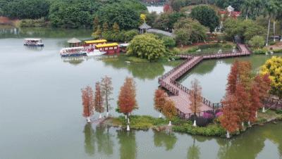 广州周边游一日游刺激,广州周边特价游