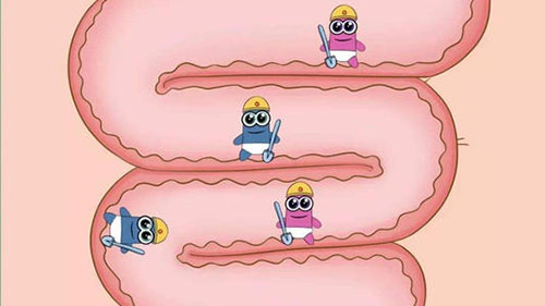 小狗不排便是什么原因,小狗排便困难怎么治疗