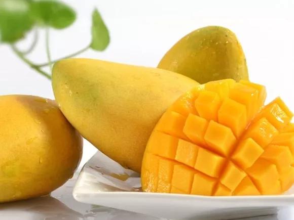 大青芒贵妃芒椰香芒哪个最好,贵妃芒金煌芒青芒有什么区别