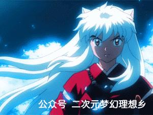 犬夜叉第二部杀生丸女儿,犬夜叉杀生丸长大后的样子