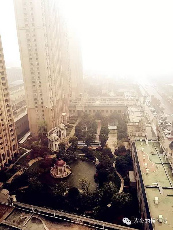 避开了人潮拥挤去哪都是风景,避开人潮打卡常州风景线