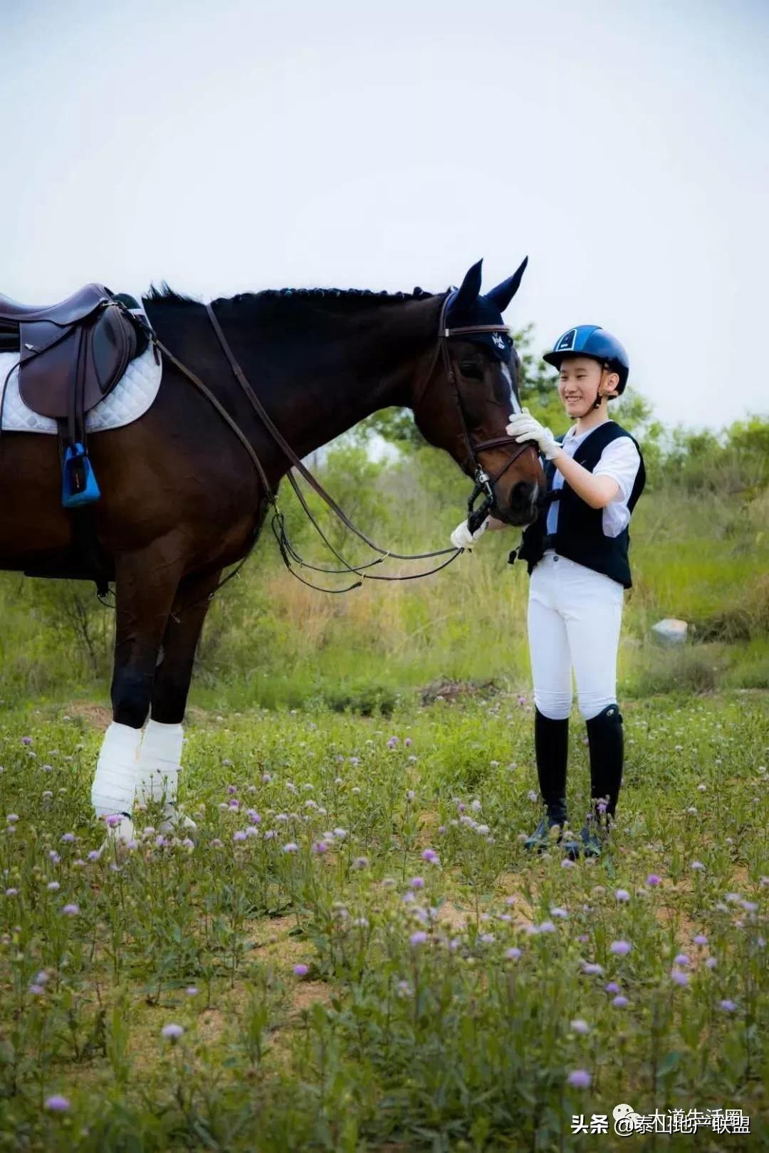 以梦为马不负韶华奔跑的少年,以梦为马不负韶华夏令营