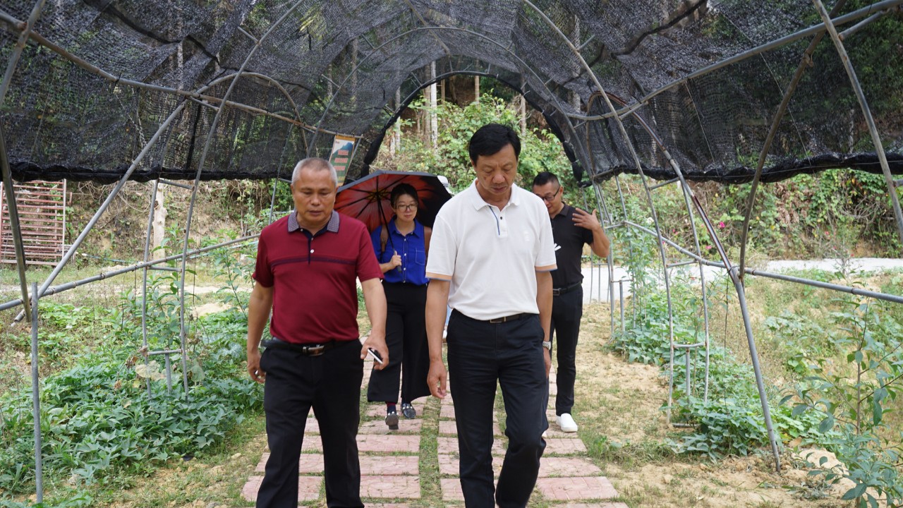 调研联盟,联合调研乡村振兴