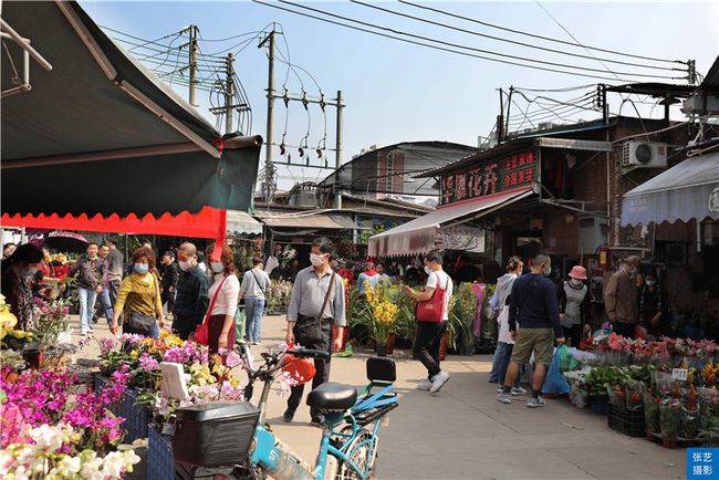 广州逛花市去哪里最好,广州岭南花卉市场人气旺似行花街
