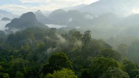 豆瓣2.5分神作,豆瓣9.5分的神作不该如此小众