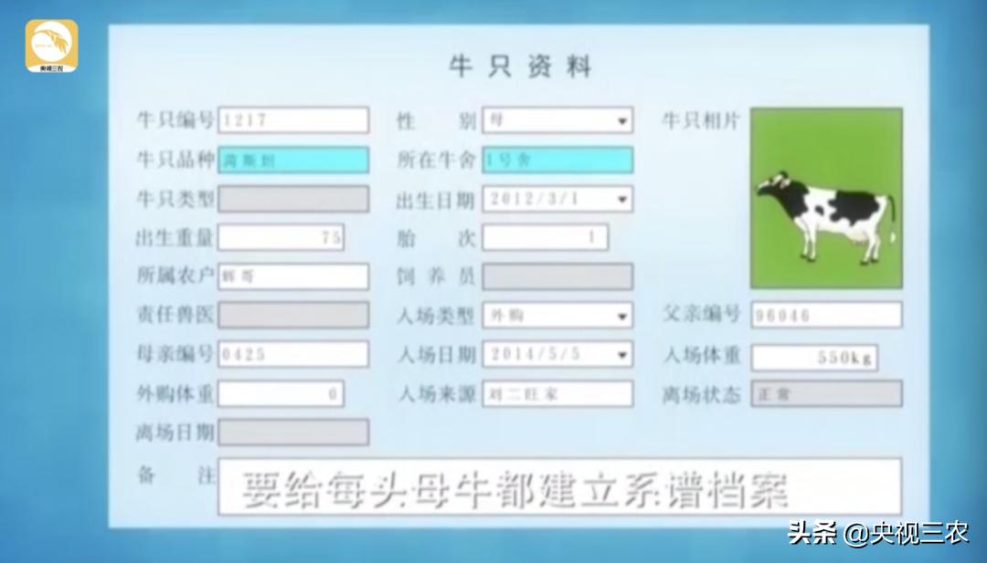 牛粪别扔，这么处理还有国家补贴