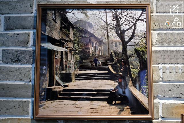 三毛流浪记原版,三毛的流浪记照片