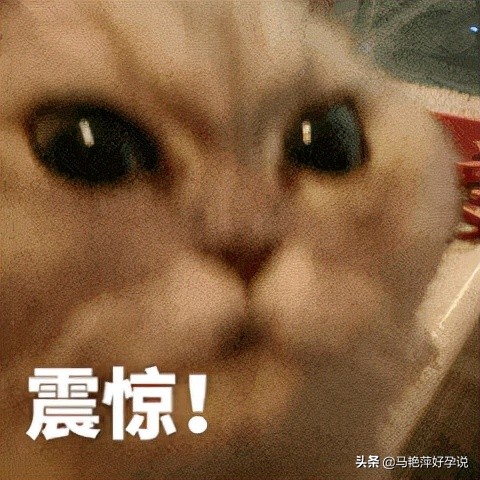 怀孕没有那么容易，每一根输卵管都有它的脾气