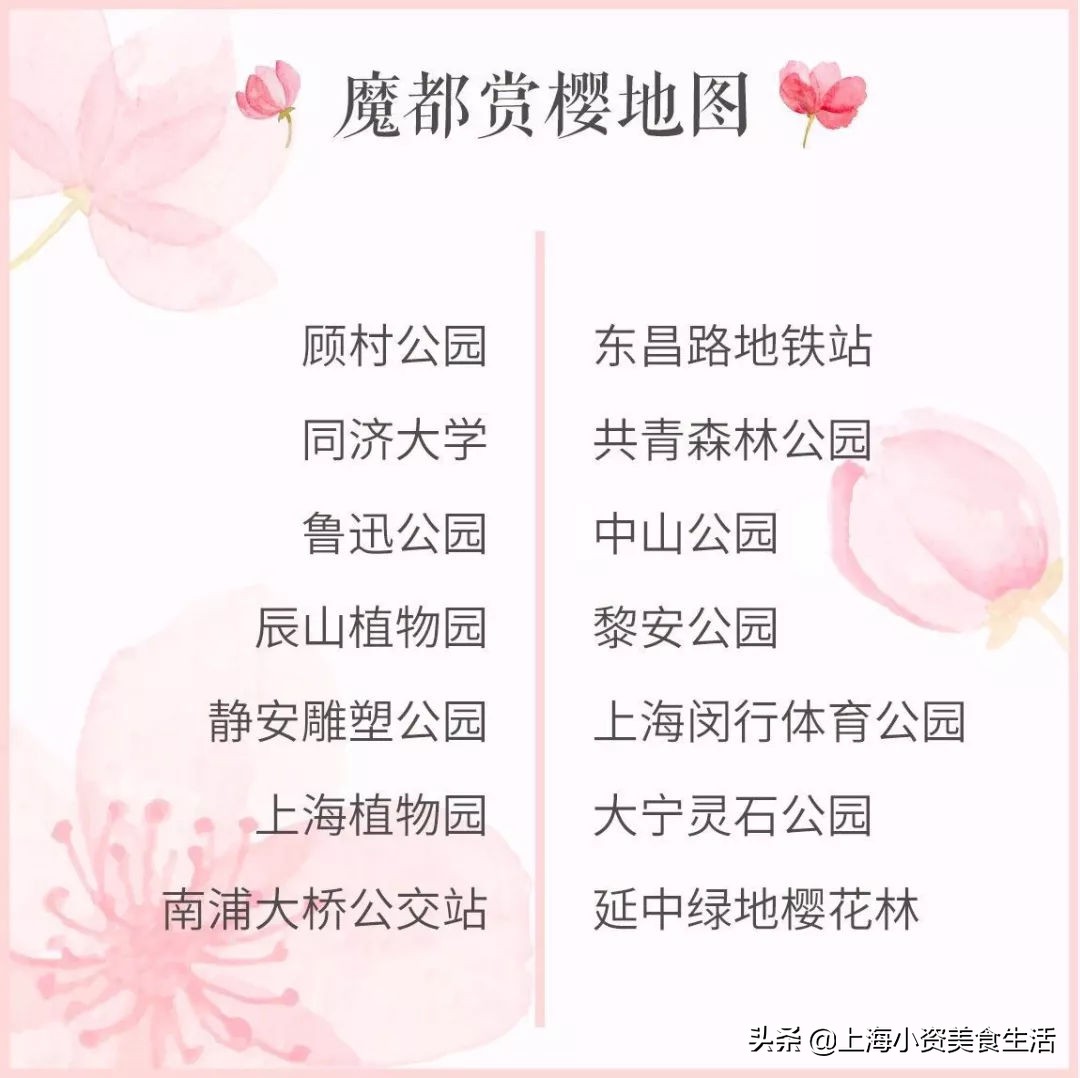 顾村公园一年一度赏樱,顾村公园赏樱点