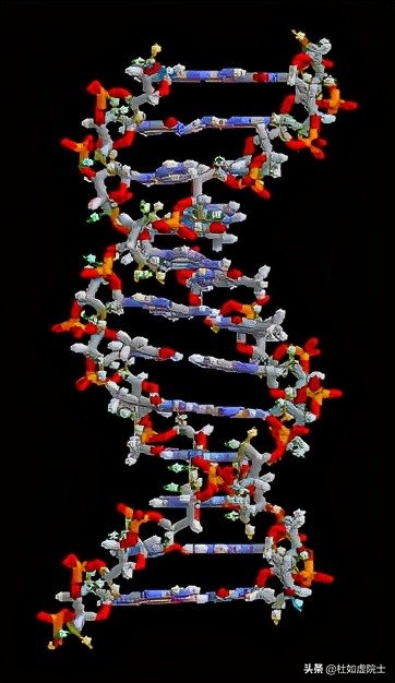 人工智能遗传算法的累积概率,人工智能遗传算法例题