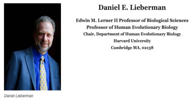 缓震跑鞋是碳板跑鞋吗,缓震跑鞋有必要买吗