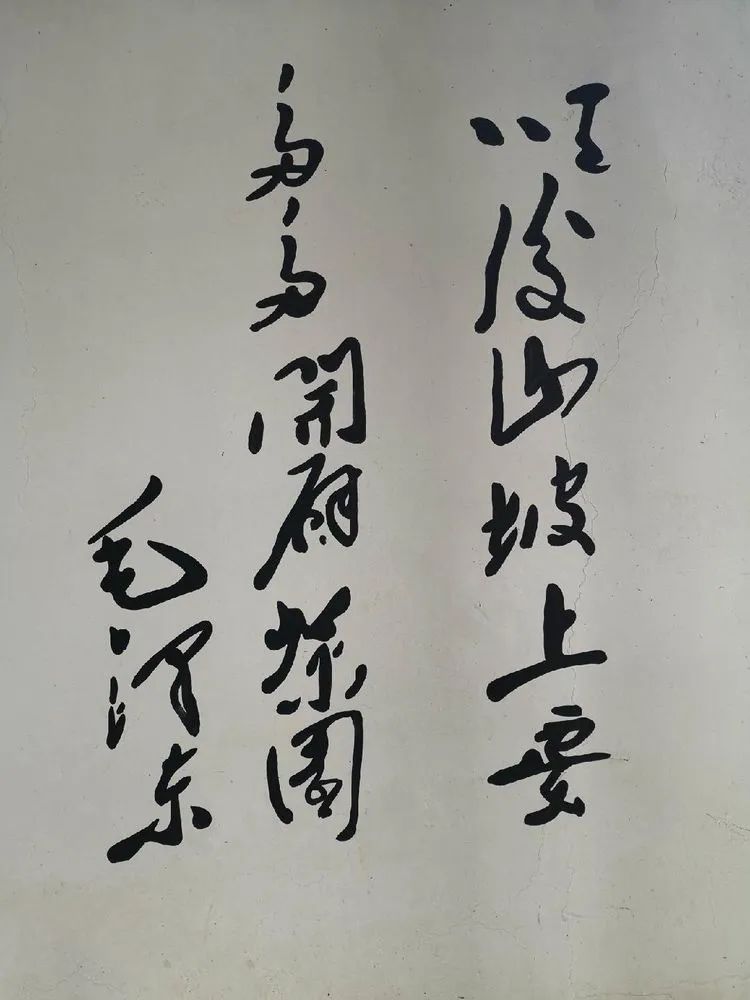 中国最美茶园在金寨,合肥周边最美茶园