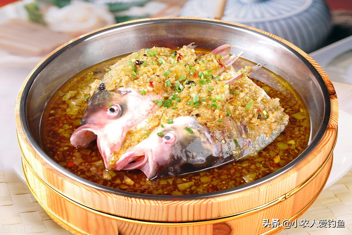 花鲢鱼头吃货,花鲢胖鱼头