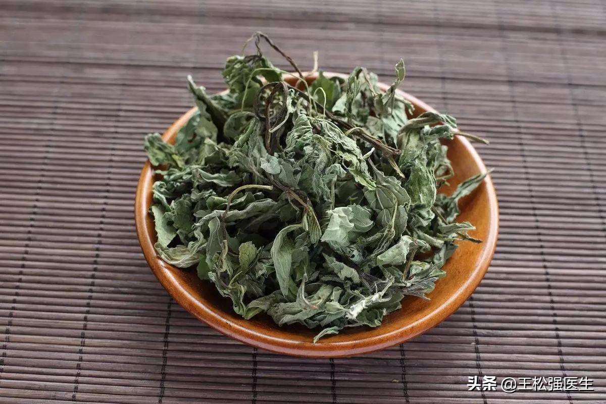 中药薄荷功效作用,中药薄荷介绍视频