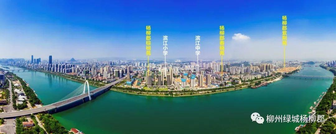 你守护世界我守护你少年的你,你守护世界我守护你