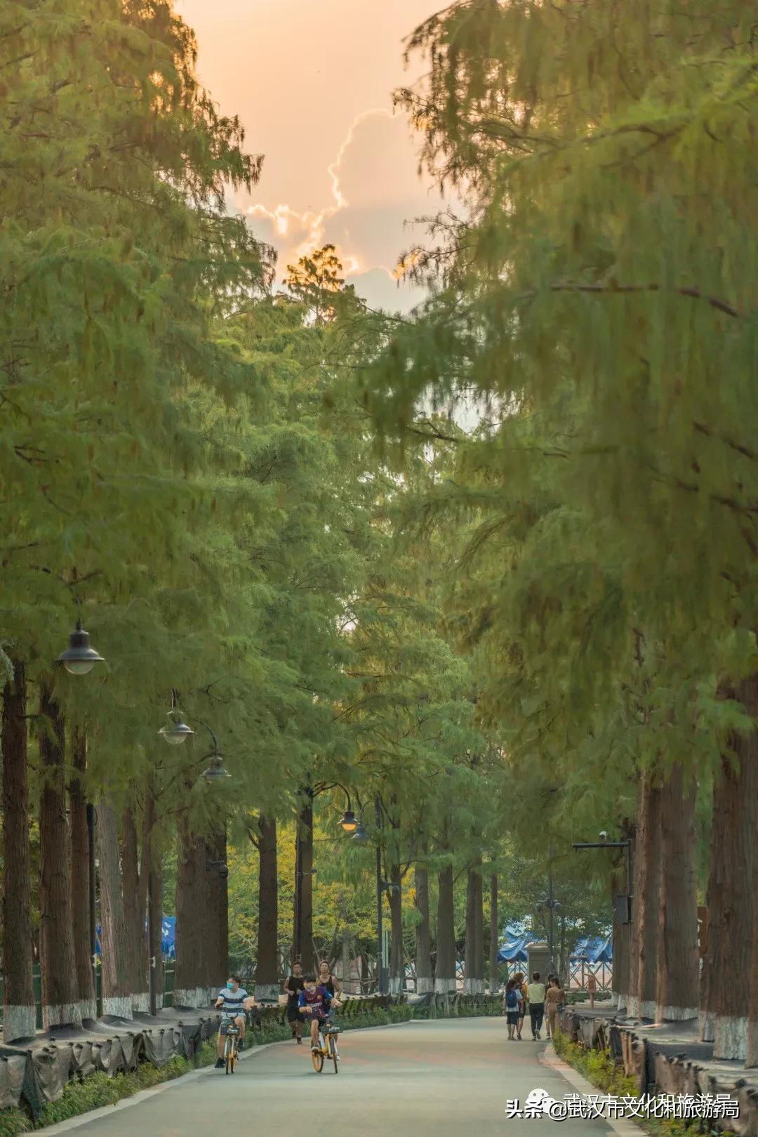 来武汉必须知道的10件事,武汉读大学攻略