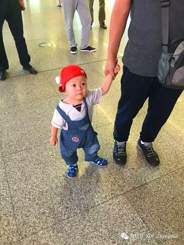 14个月宝宝英语指令,16个月宝宝学说英语