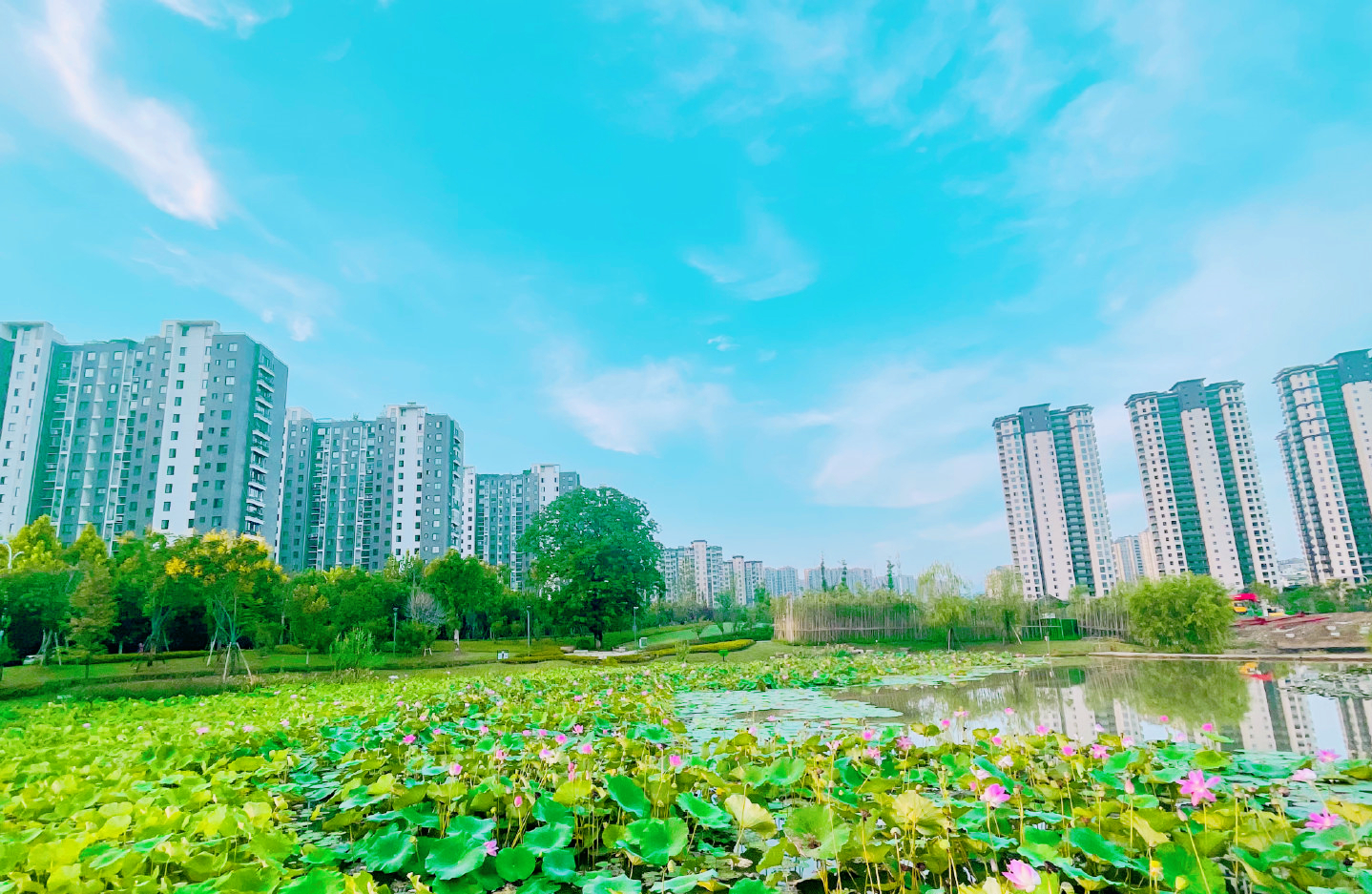 浙江丽水，人均GDP排全省最末，有的小区房价却超过5万