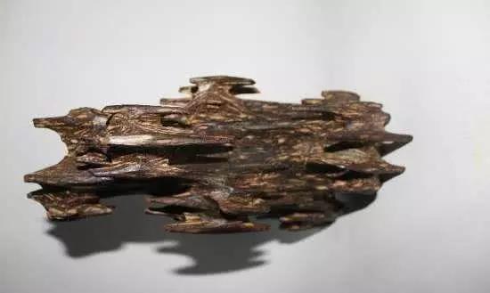 这种烂木头1克价值5万，越南农民种它年赚几十亿越盾