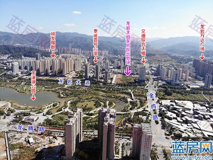 龙岩龙津湖地块,龙岩大道地段