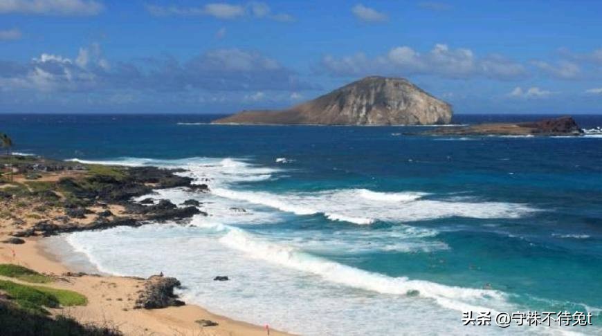 100个冷知识是什么,100万个冷知识