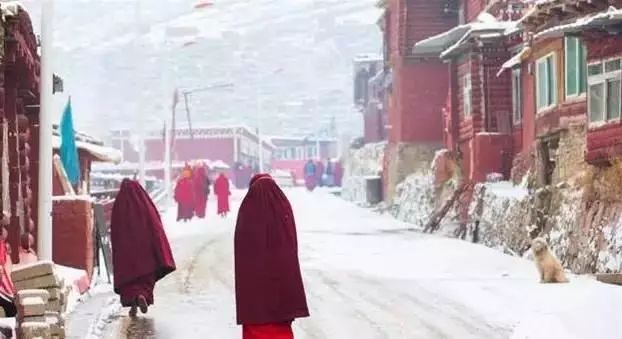 色达下雪了红白交织,色达下雪了图片大全