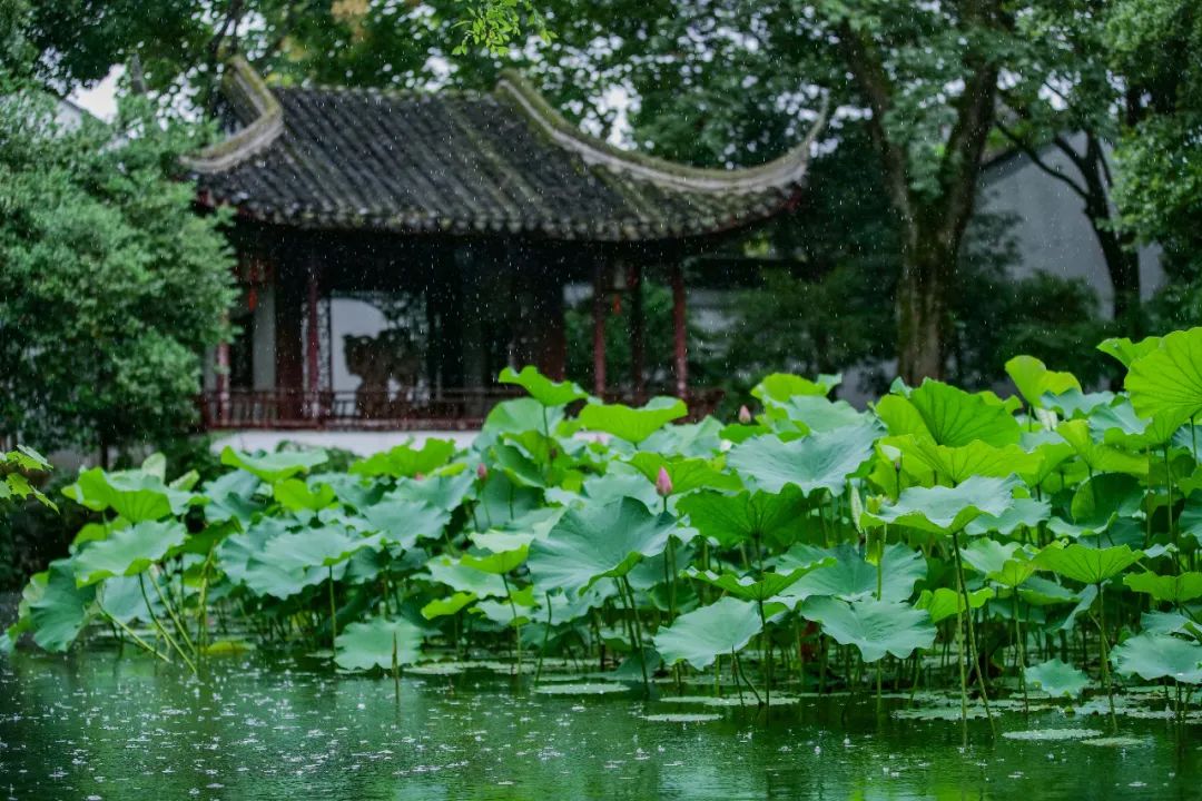 苏州夏季水上乐园最佳地点,夏季苏州