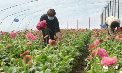 河南1例外籍人士确诊，全力救治14天；武大樱花开了丨大河早新闻