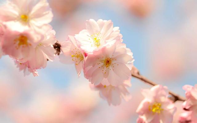 如果你喜欢的人被欺负了怎么办,如果你被人喜欢怎么办