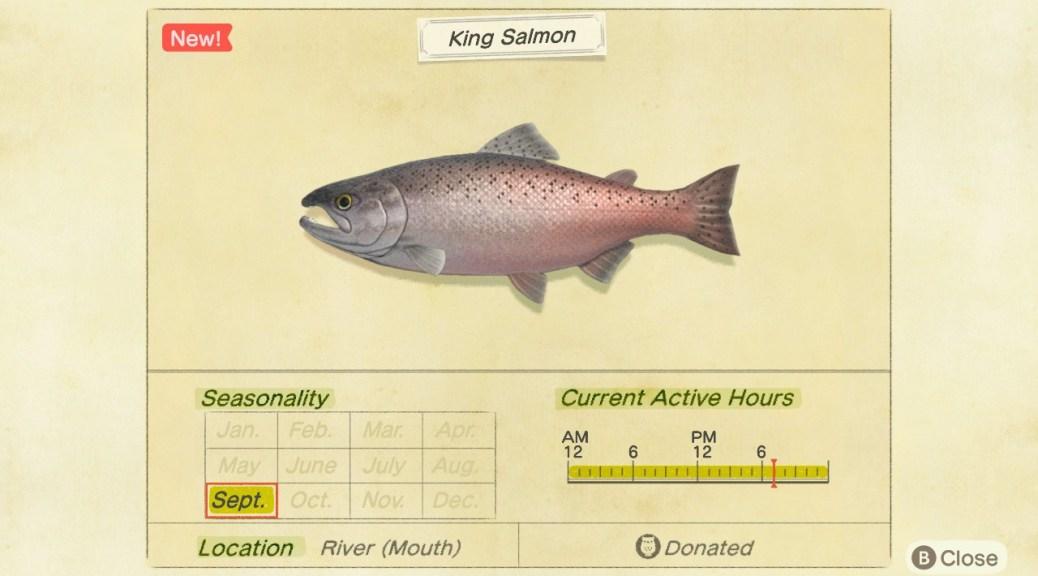 动森收集的鱼可以放在哪里,动森虫类全图鉴及地点时间