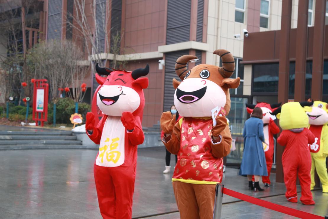 郑州经开外国语小学开学时间,郑州东区外国语小学开学