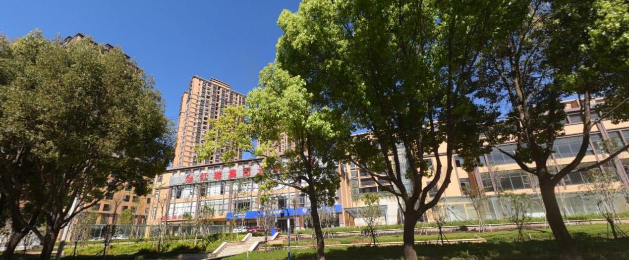 昆明11家房企破产名单,昆明地产破产重整项目