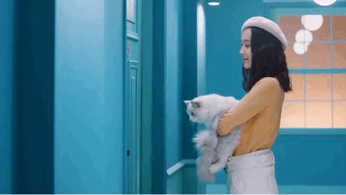 小米智能门锁1s在手机上添加nfc,小米门锁1s防猫眼开锁怎么设置