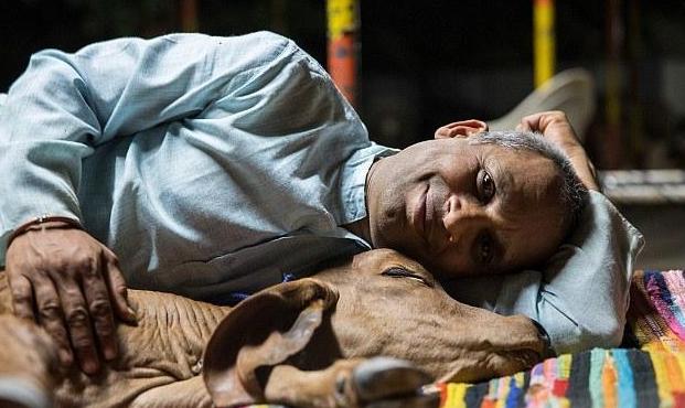 印度24条冷知识,印度冷知识100则