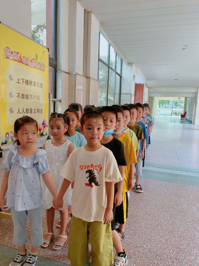 学段衔接研究思路,聚焦科学幼小衔接培训