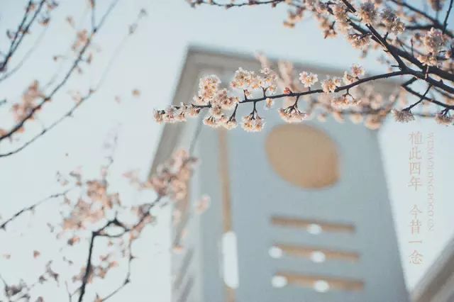 上海最低调的富豪家族,上海的隐藏富豪住在哪里