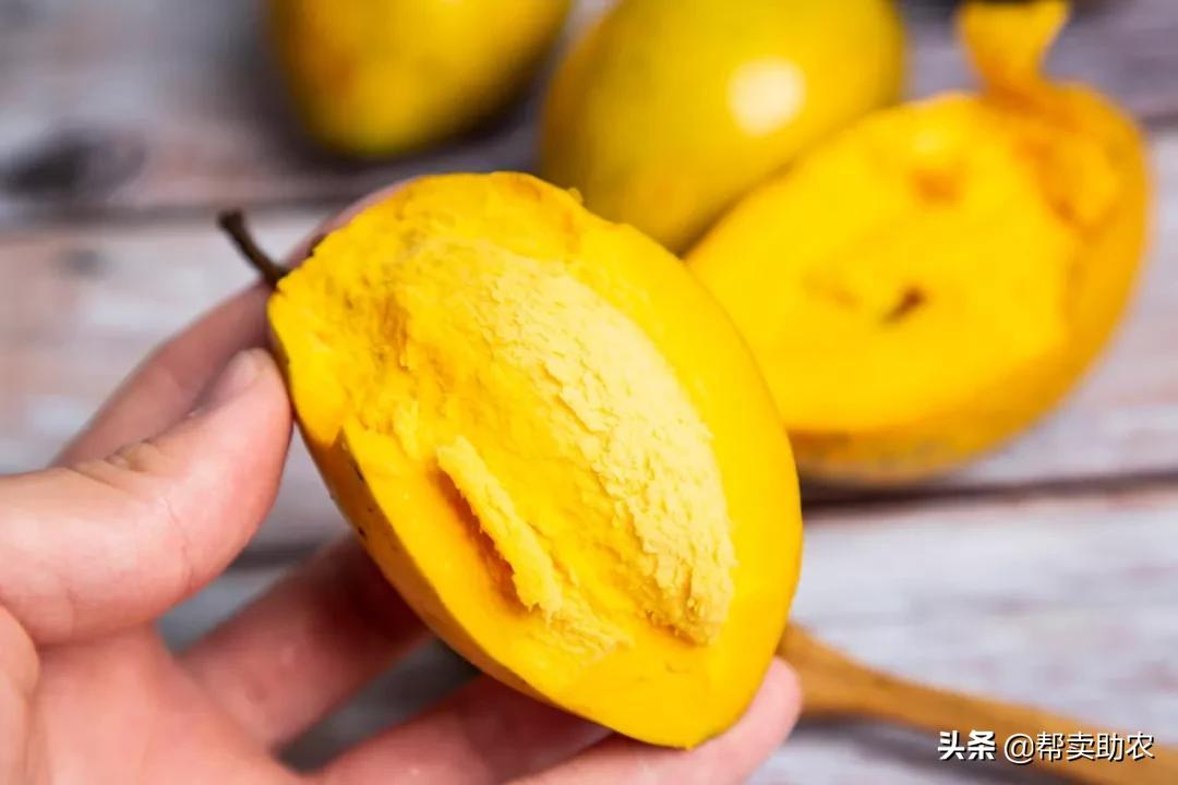 闀垮湪鏍戜笂鐨勭孩钖浮铔嬫灉,闀垮湪鏍戜笂鐨勯浮铔嬫灉