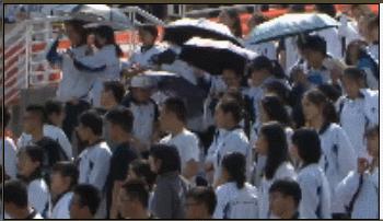 为什么羡慕日本高中,央媒评价日本高中足球联赛