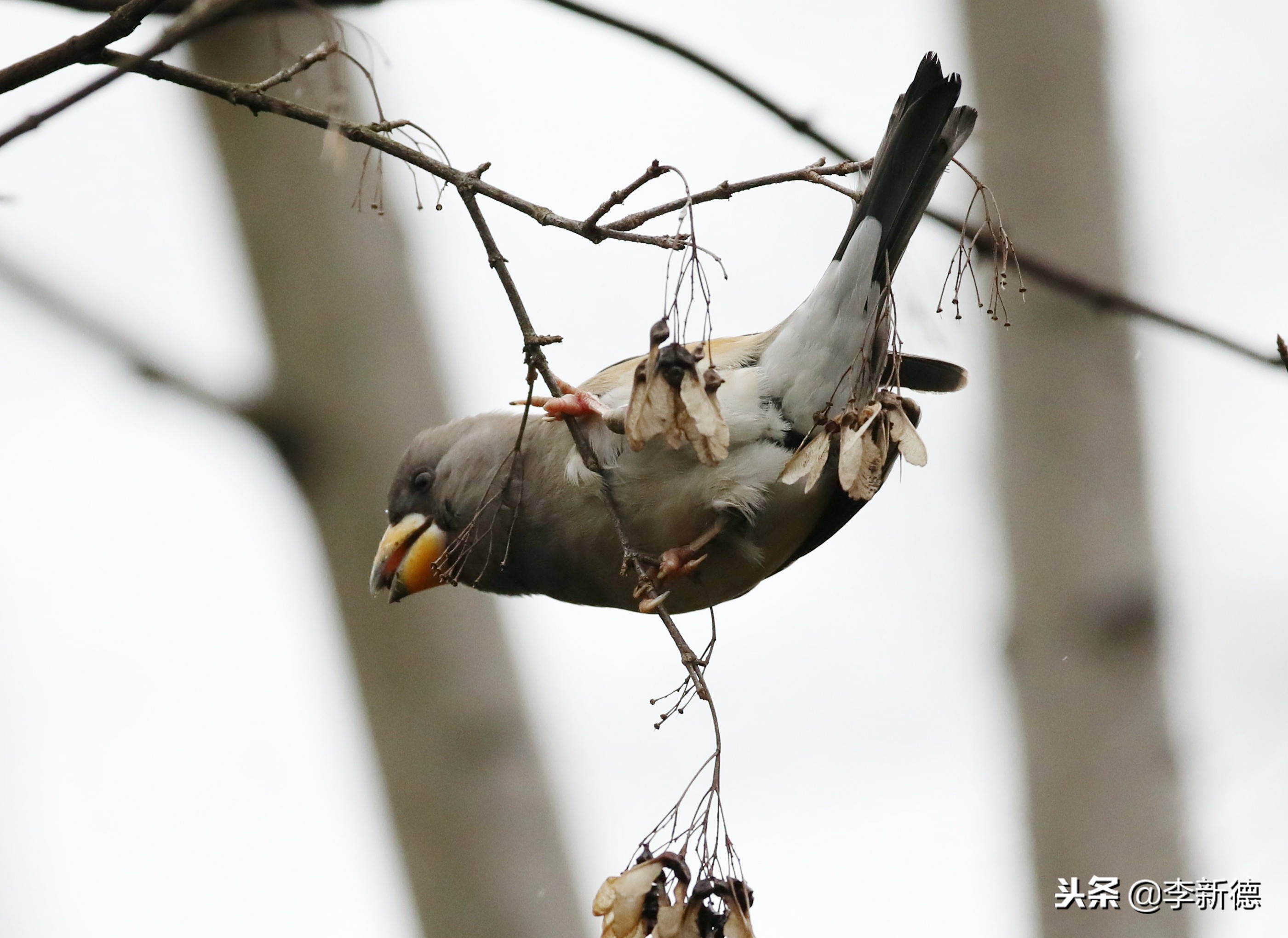 合肥高新区蜀峰湾,合肥市蜀峰湾