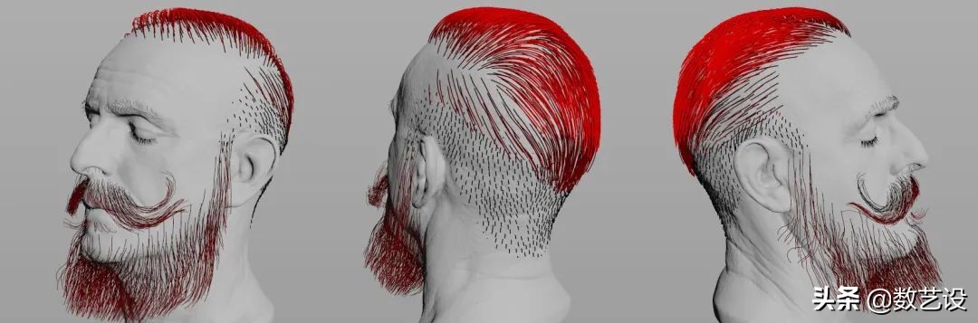 3d防脱发动画,毛发生长3d动画