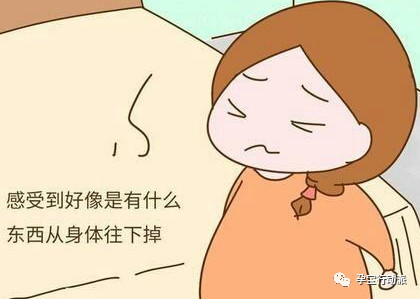 孕期周刊第14周,孕期记录30周