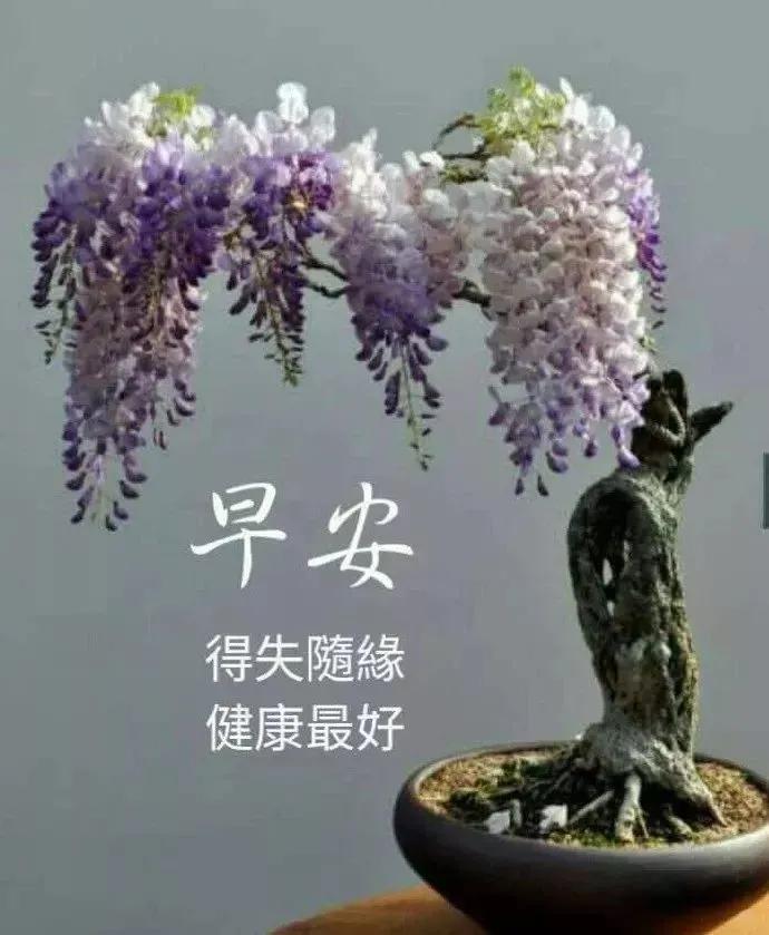 早安佛祖祝福带字美图,最新早安带字祝福图片