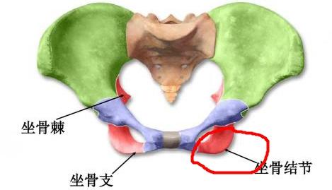 坐着屁股臀骨痛是怎么回事,坐了几十个小时屁股痛怎么办
