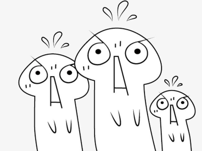 成分跟大牌一样的国货,成分相同但效果不一样的护肤品