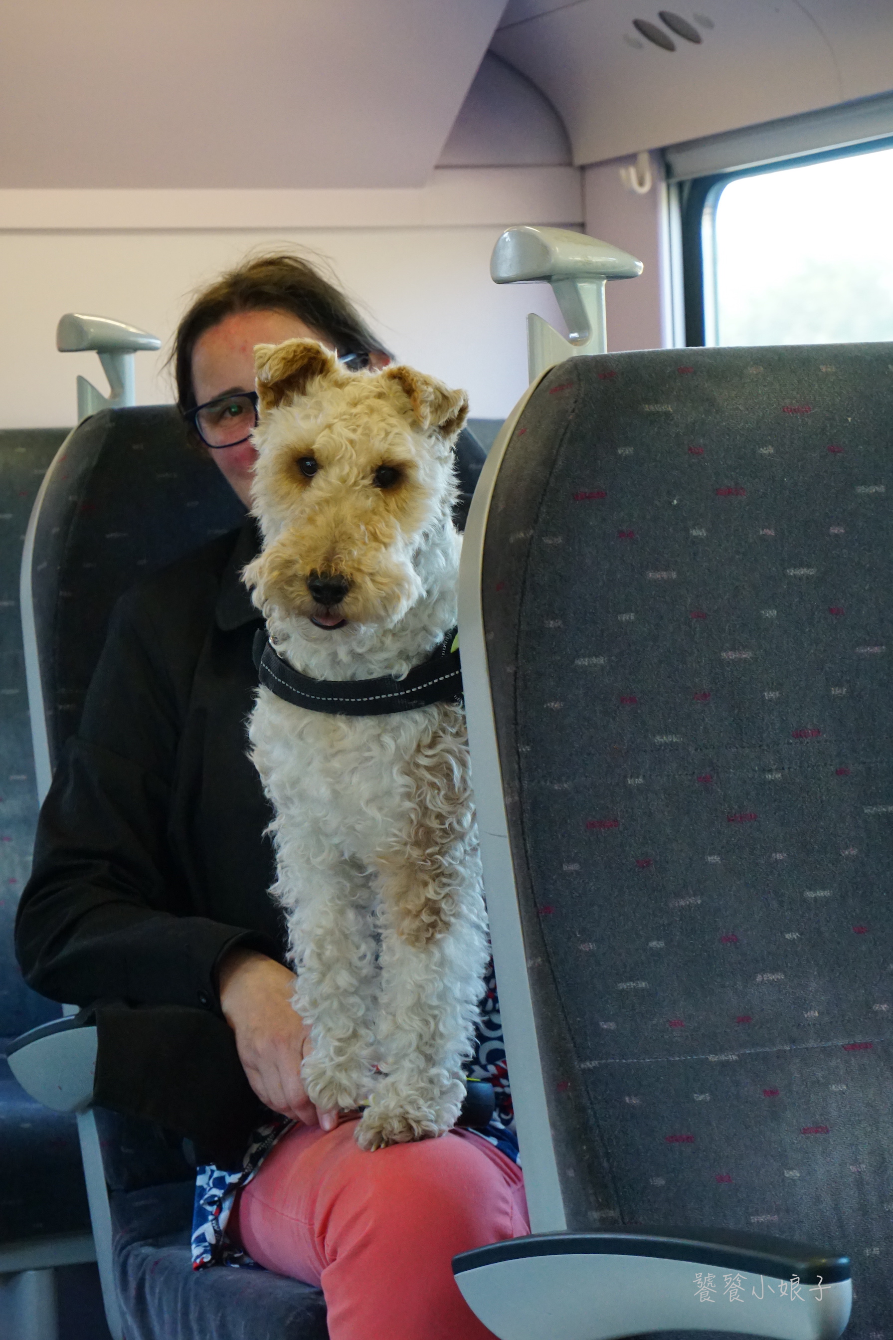 圣血大教堂圣血不同之处,存放基督血的教堂